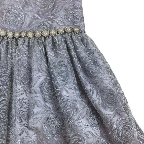 RARE EDITIONS Silver Tulle Lace Floral Princess Formal Layered Dress size 6X - Picture 4 of 16
